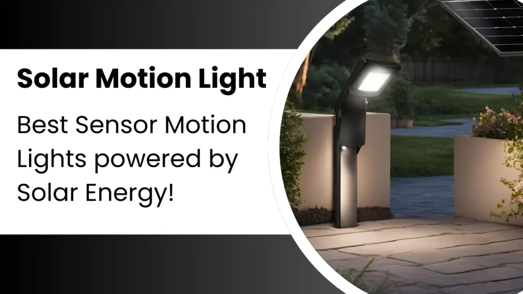 Home Zone Security Solar Motion Sensor Light